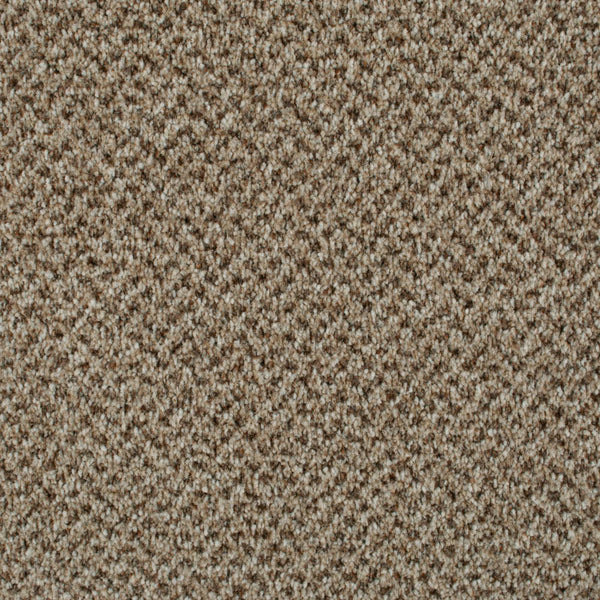 Eddleston 35 Stainaway Tweed Carpet