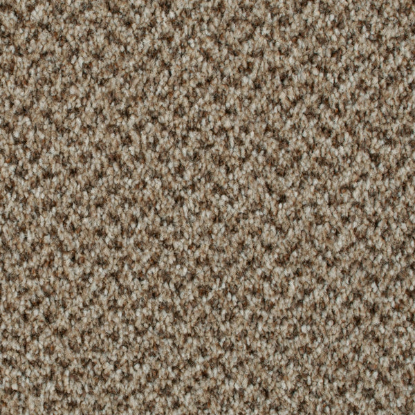 Eddleston 35 Stainaway Tweed Carpet