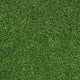 Everglade 30mm Artificial Grass 5m