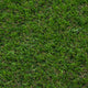 Everglade 30mm Artificial Grass 5m