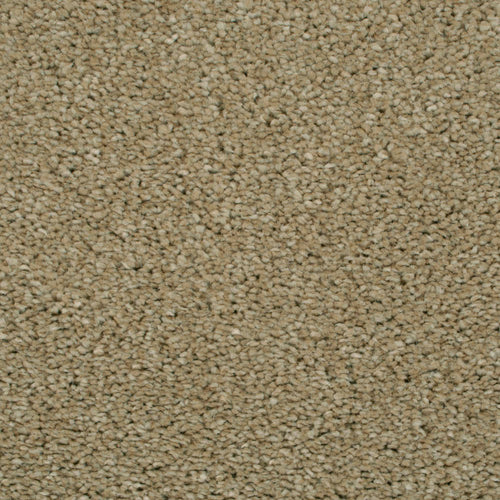 Fawn 72 Revolution Soft Heathers Intenza Carpet 5.3m x 5m Remnant