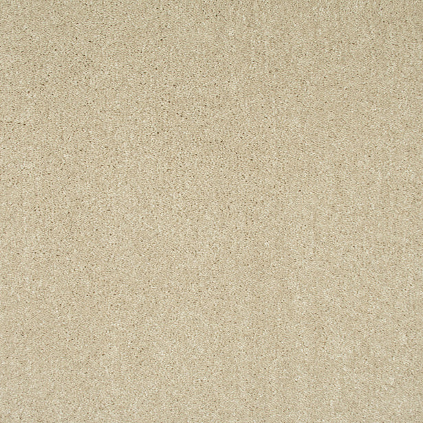 Frosted Dawn 05 Sophistication Supreme Carpet Clearance