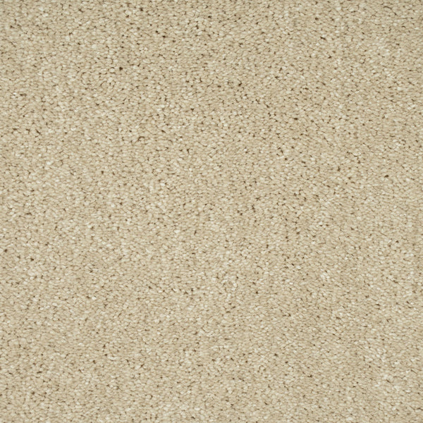 Frosted Dawn 05 Sophistication Supreme Carpet Clearance