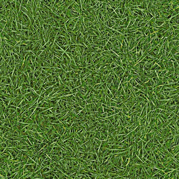 Grass 25 Candy Vinyl Flooring