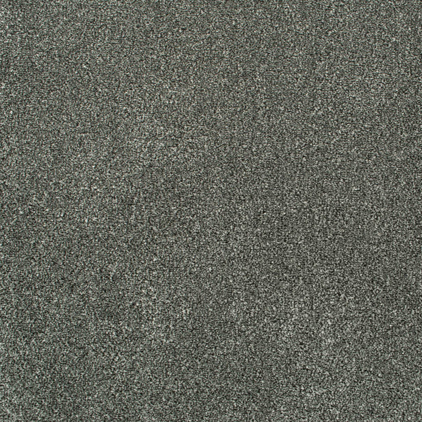 Gull Grey 76 Oxford Saxony Carpet