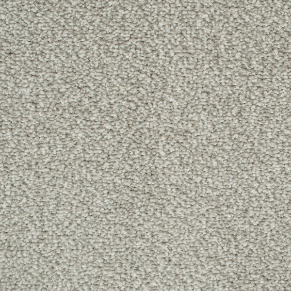 Ivory Grey 174 Oxford Saxony Carpet 5.55m x 5m Remnant