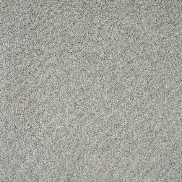 Ivory Grey 73 Emotion Classic Intenza Carpet