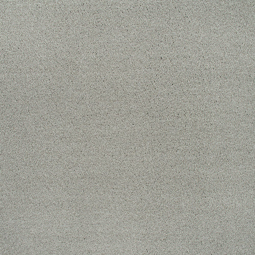 Ivory Grey 73 Emotion Elite Intenza Carpet