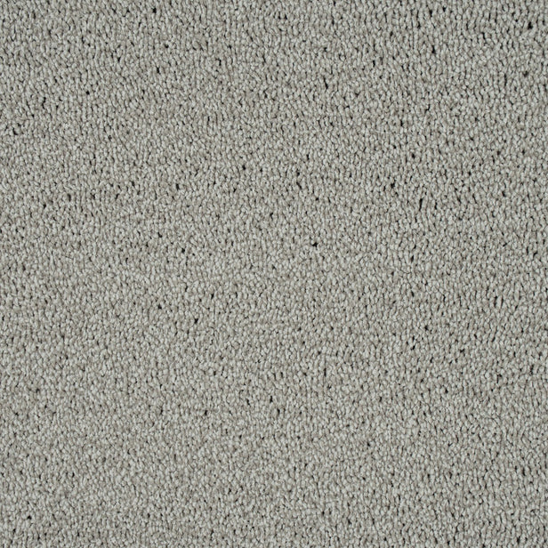 Ivory Grey 73 Emotion Elite Intenza Carpet
