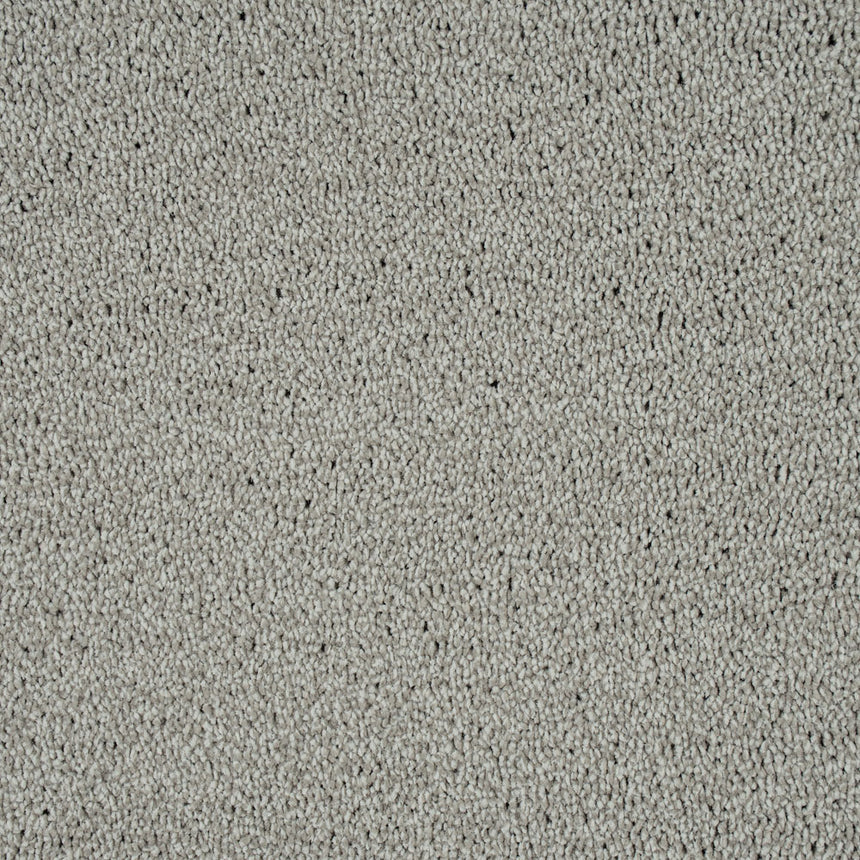 Ivory Grey 73 Emotion Elite Intenza Carpet