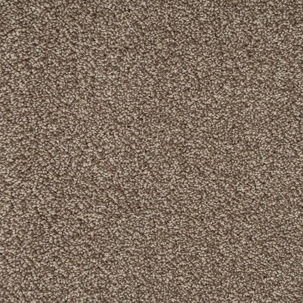 Light Brown 90 Emotion Classic Intenza Carpet