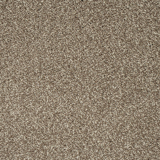 Light Brown 90 Emotion Elite Intenza Carpet