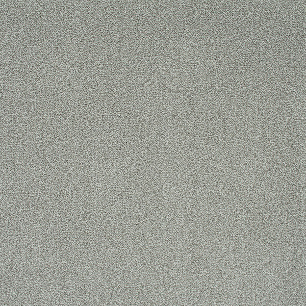 Light Grey 274 Emotion Classic Intenza Carpet