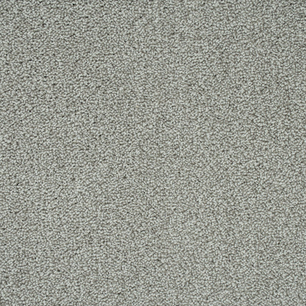 Light Grey 274 Emotion Classic Intenza Carpet 6.17m x 5m Remnant