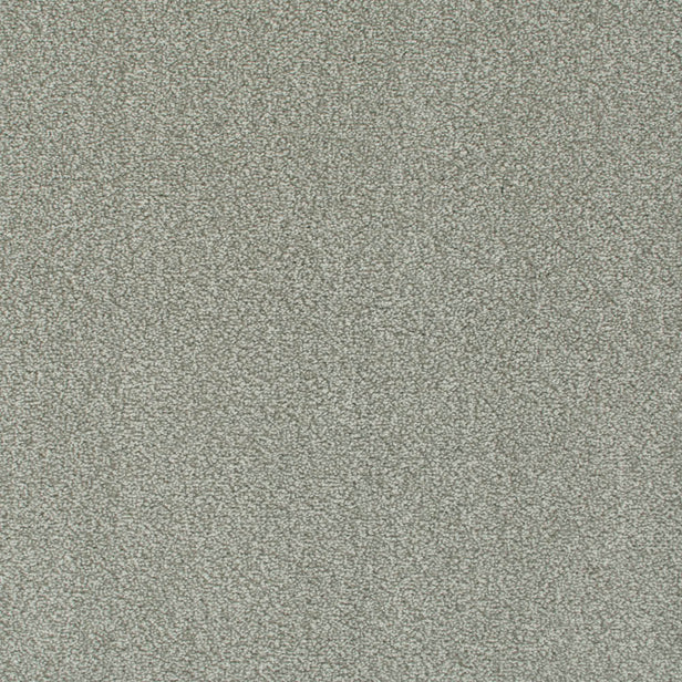 Emotion Elite Intenza Carpet Clearance