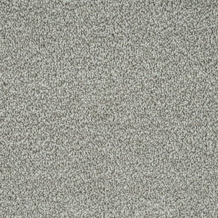 Light Grey 274 Emotion Elite Intenza Carpet
