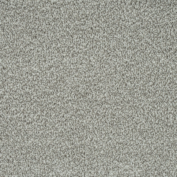 Light Grey 274 Emotion Elite Intenza Carpet 5m x 5m Remnant