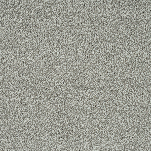 Light Grey 274 Emotion Elite Intenza Carpet