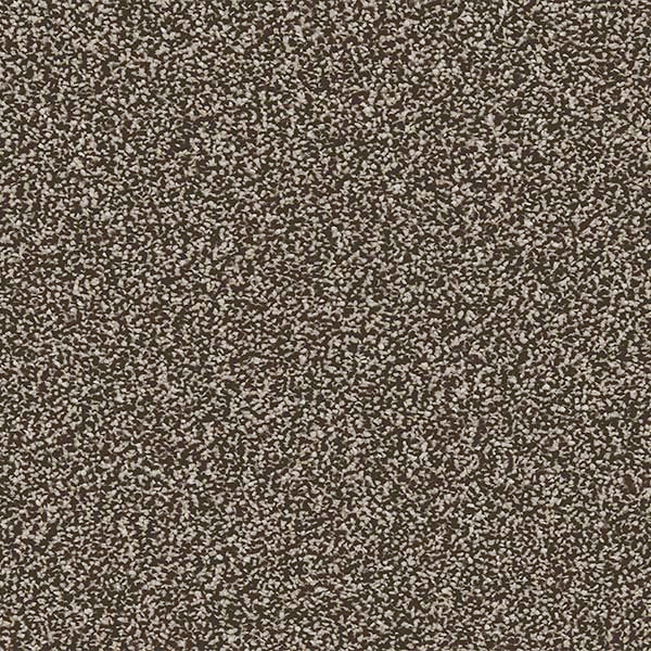 Clove