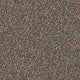 Linwood 40oz Twist Carpet