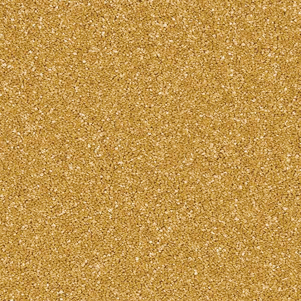 Midas Touch