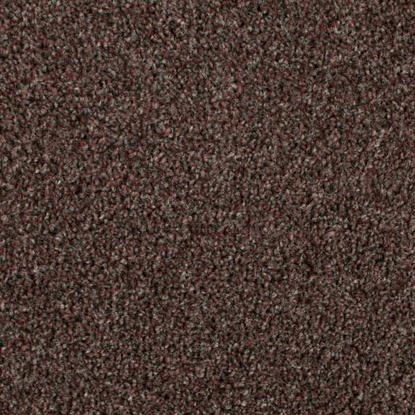 Mahogany 773 Dublin Heathers Carpet Buy Dublin Heathers Twist Carpet