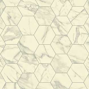 Marble Bianco Hexagon Grey Modena Vinyl Flooring