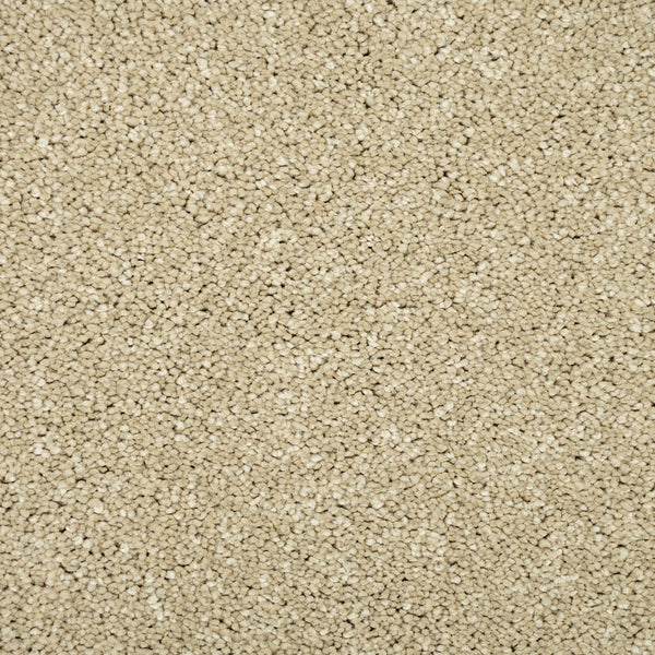 Monterey Sand Sensation Original 60oz Carpet by Cormar Buy Flecked