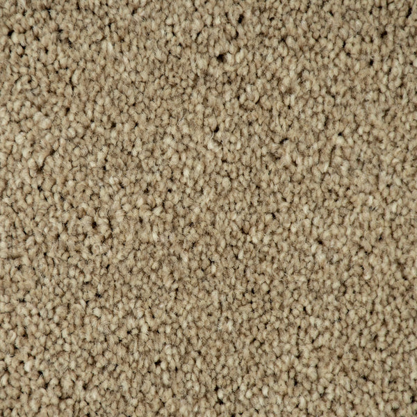 Oatmeal 30 Temptation Carpet Clearance