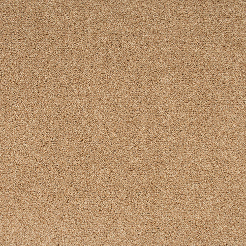 Oatmeal 33 Stainaway Harvest Heathers Deluxe Carpet