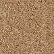 Oatmeal 33 Stainaway Harvest Heathers Deluxe Carpet