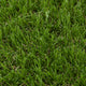 Owlerton 30mm Artificial Grass