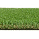 Paloma 37mm Artificial Grass