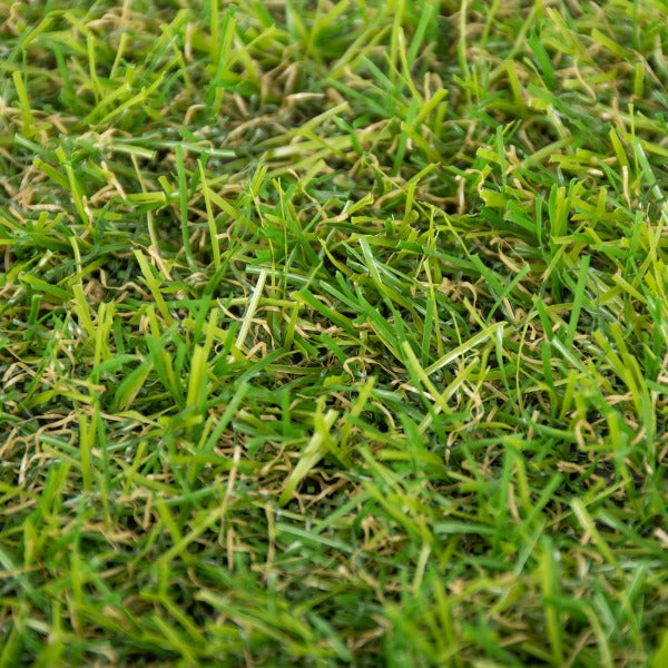 Parkdale 20mm Artificial Grass