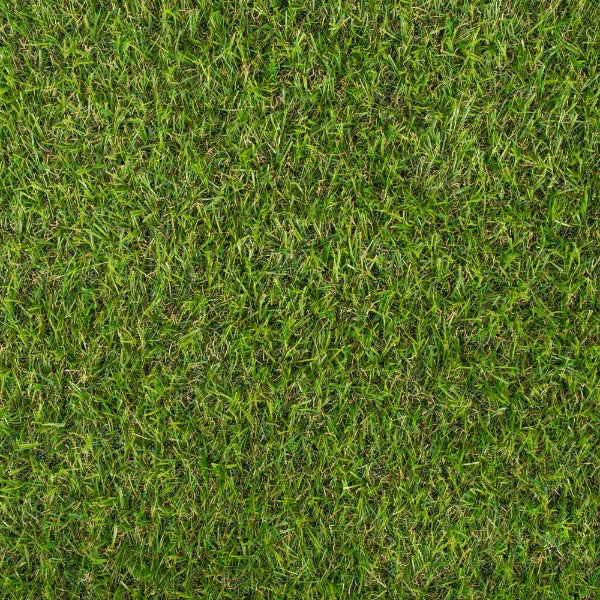 Parkdale 20mm Artificial Grass