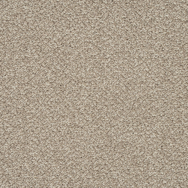 Pebble Beige 71 Emotion Classic Intenza Carpet 6m x 5m Remnant