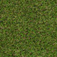 Pembrey 22mm Artificial Grass