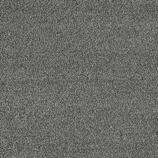 Pewter 177 Emotion Classic Intenza Carpet