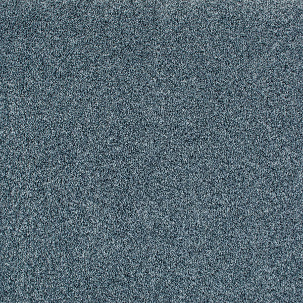 Pigeon Blue 360