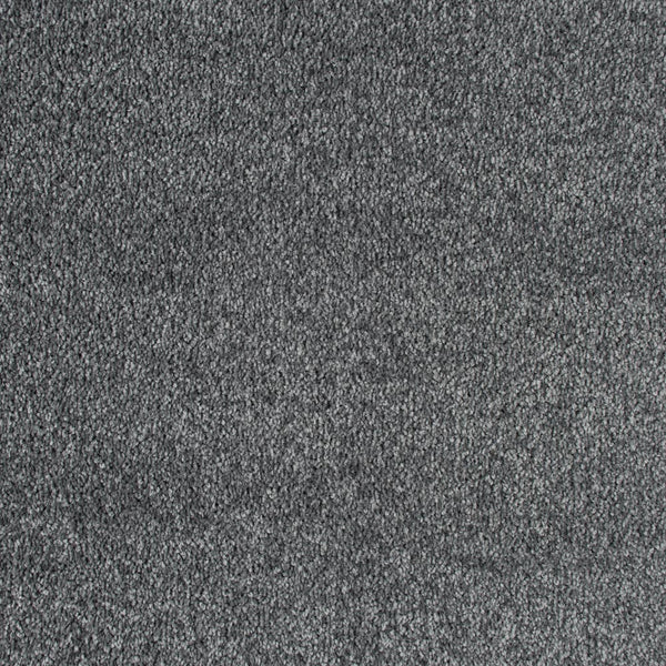 Platina 90 Bellaire Carpet