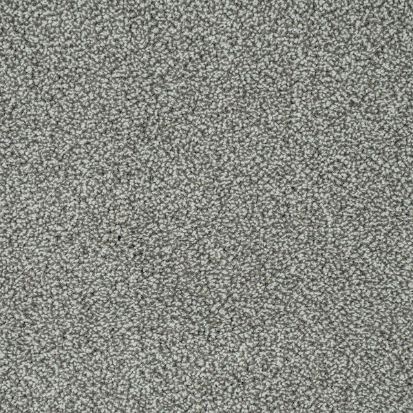 Platinum 174 Emotion Elite Intenza Carpet 4.64m x 5m Remnant