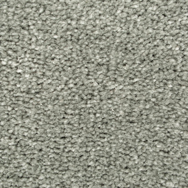 Platinum 274 Oxford Saxony Carpet