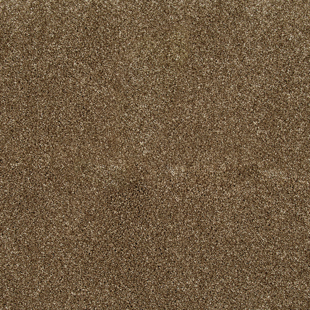 Reed Beige 34 Temptation Carpet