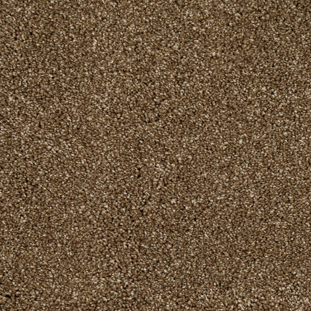 Reed Beige 34 Temptation Carpet
