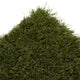 Riviera 42mm Artificial Grass 5m