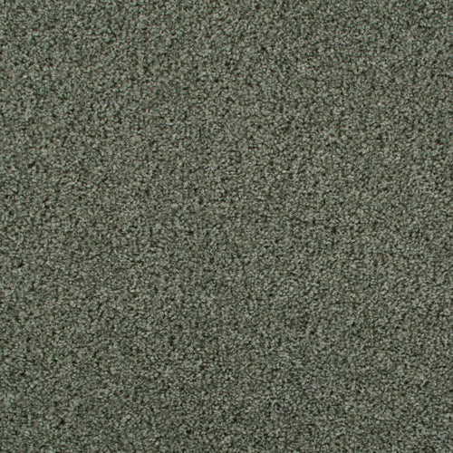 Rustic Green 229 Dublin Heathers Carpet