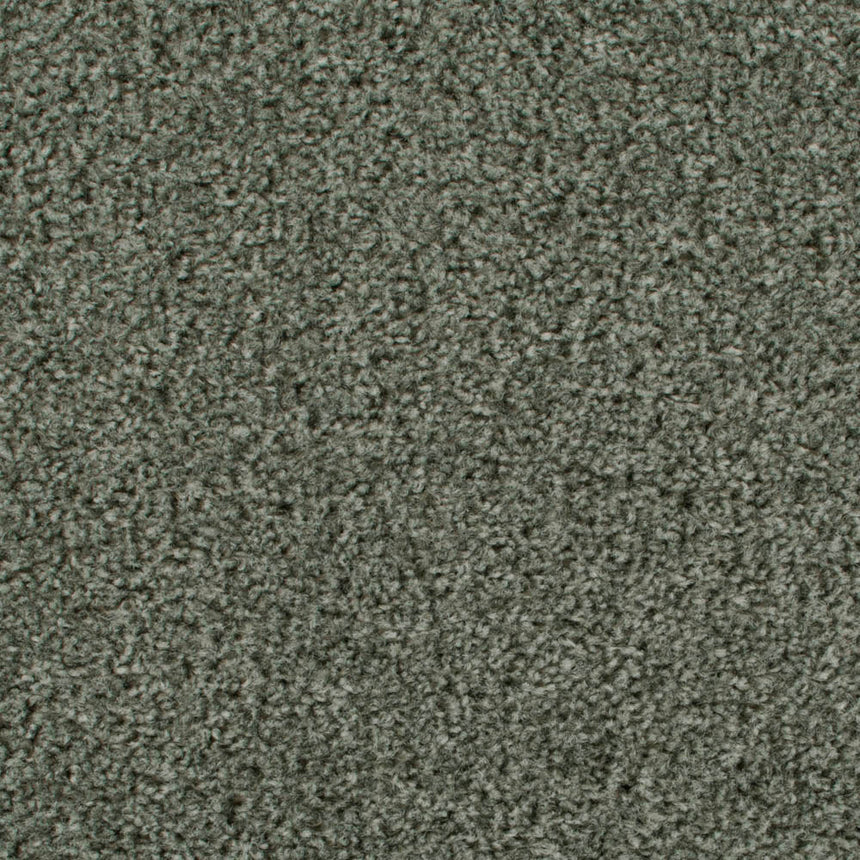 Rustic Green 229 Dublin Heathers Carpet Buy Dublin Heathers Twist