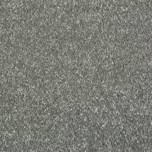 Shadow Grey 75 Promenade Carpet