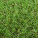 Sherbrooke 30mm Artificial Grass