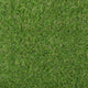 Sherbrooke 30mm Artificial Grass